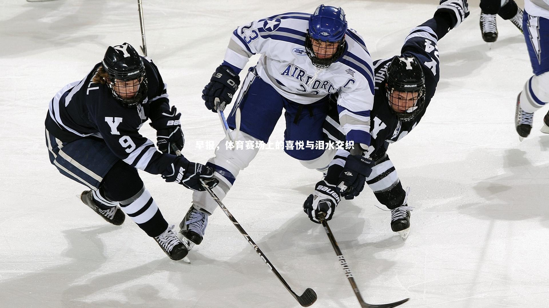 球速体育平台：早报，体育赛场上的喜悦与泪水交织