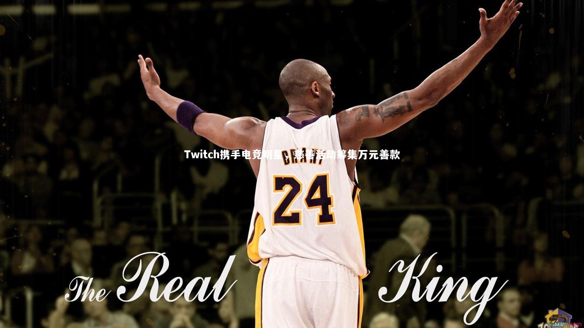 Twitch携手电竞明星，慈善活动筹集万元善款